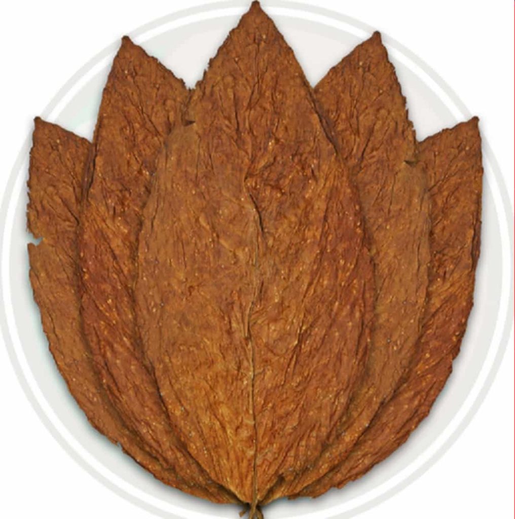 Close-up view of a Burley tobacco leaf